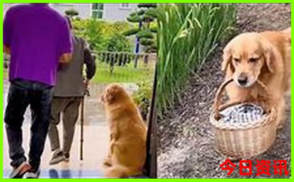 东北几月份旅游最好